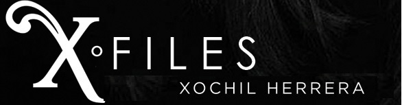 Feb 2026 X Files –  The Power of Your Profile